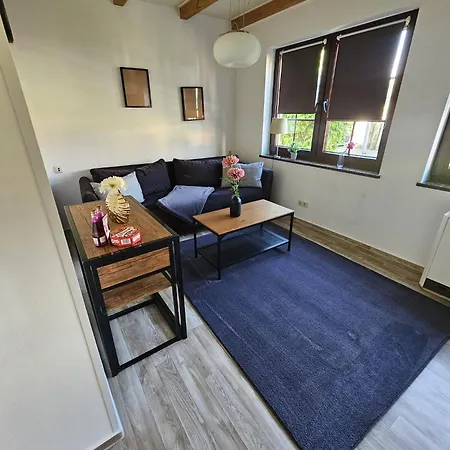 公寓 Ferienapartments Am Deich In 青斯特